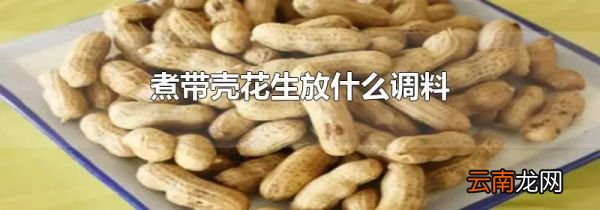 煮带壳花生放什么调料