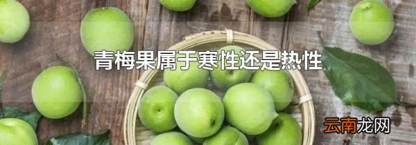 青梅果属于寒性还是热性