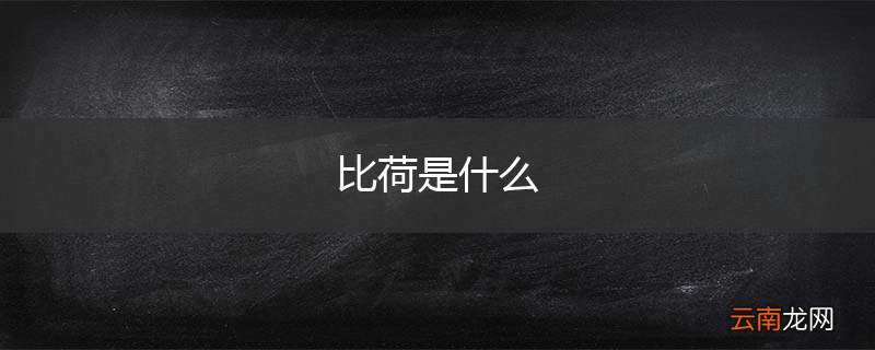 比荷是什么
