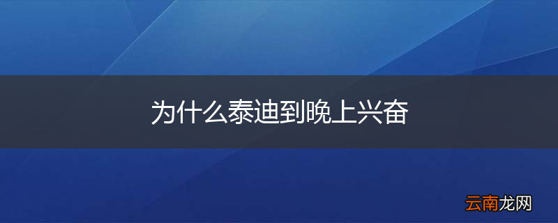 为什么泰迪到晚上兴奋