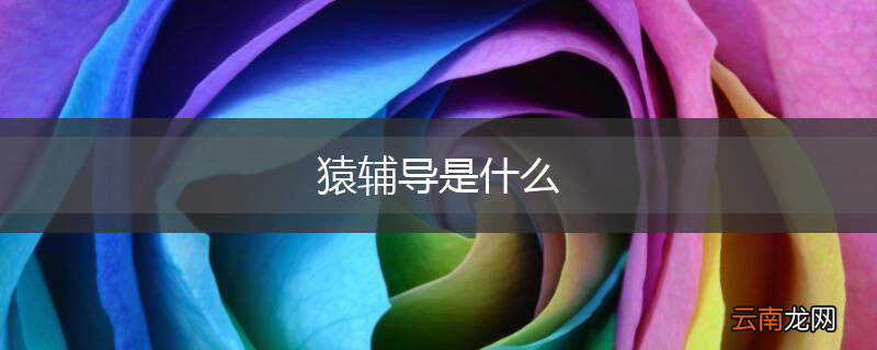 猿辅导是什么