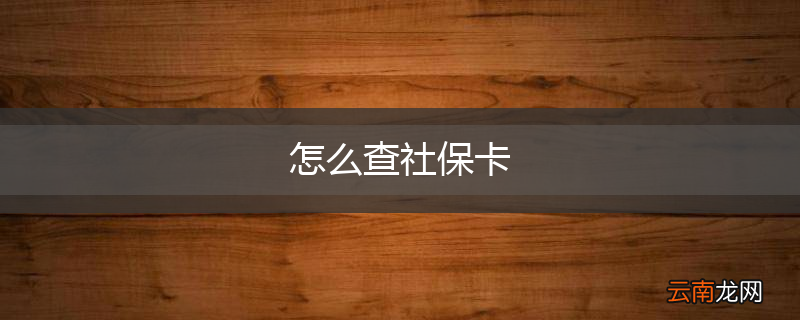 怎么查社保卡