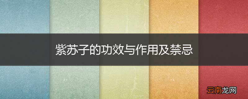 紫苏子的功效与作用及禁忌