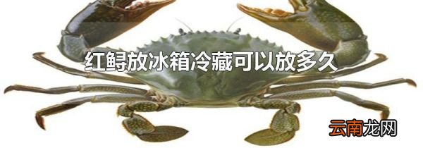 红鲟放冰箱冷藏可以放多久