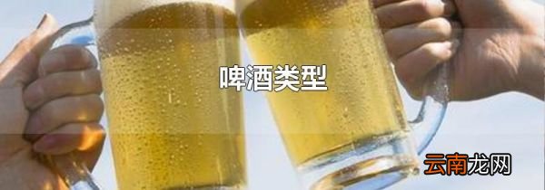 啤酒类型