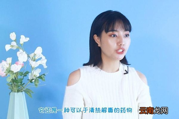 蒲公英茶可以天天喝吗 蒲公英茶几天喝一次