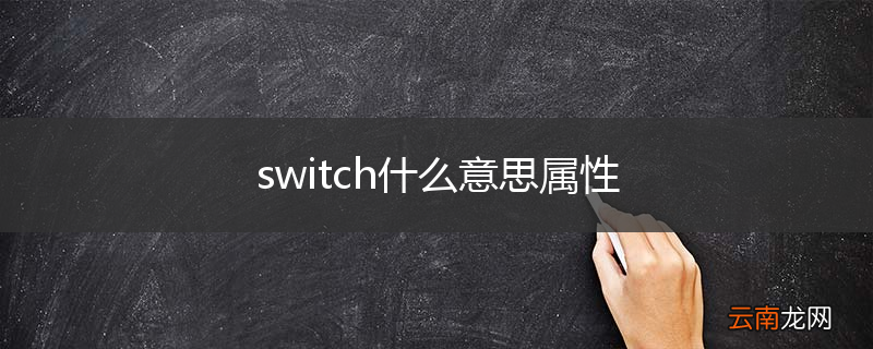 switch什么意思属性
