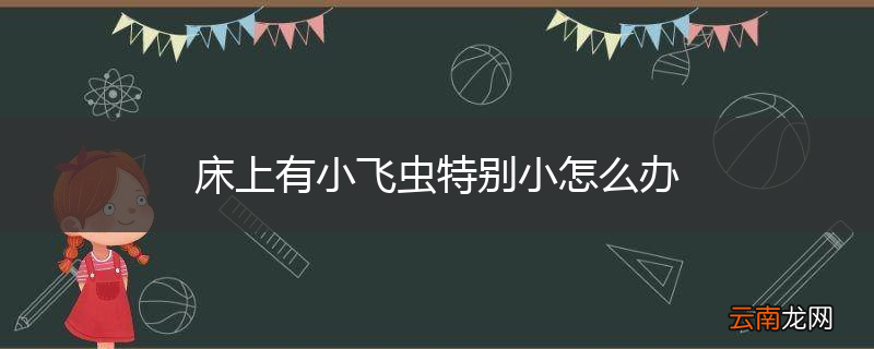 床上有小飞虫特别小怎么办