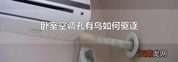 卧室空调孔有鸟如何驱逐