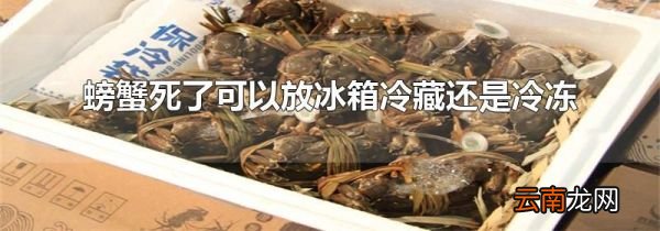 螃蟹死了可以放冰箱冷藏还是冷冻