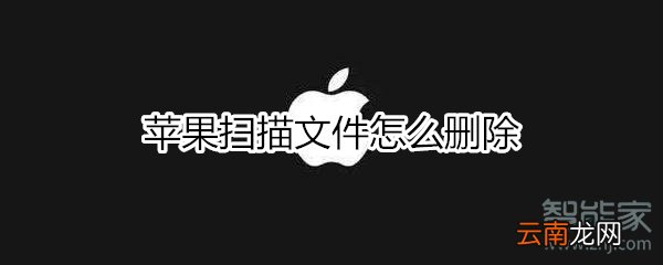 苹果扫描文件怎么删除