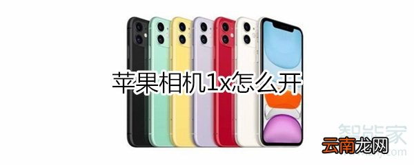苹果相机1x怎么开
