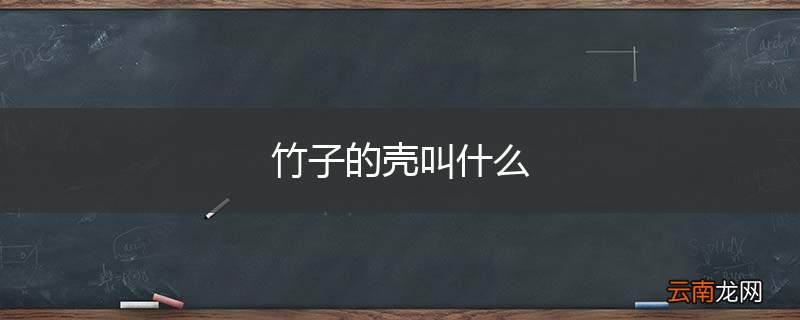 竹子的壳叫什么