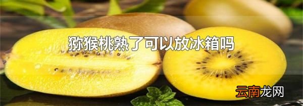 猕猴桃熟了可以放冰箱吗