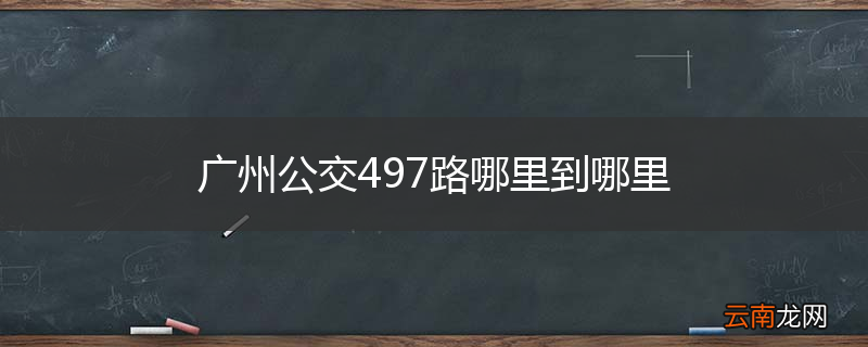 广州公交497路哪里到哪里