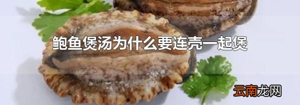 鲍鱼煲汤为什么要连壳一起煲