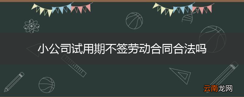 小公司试用期不签劳动合同合法吗