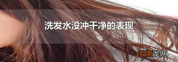 洗发水没冲干净的表现