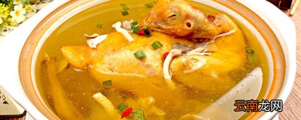 鸡汤怎么炖好喝又营养 熬鸡汤窍门