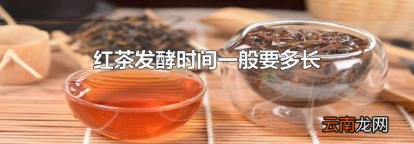 红茶发酵时间一般要多长