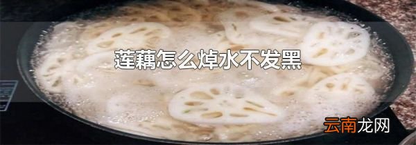 莲藕怎么焯水不发黑