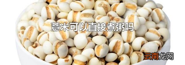 薏米可以直接煮粥吗
