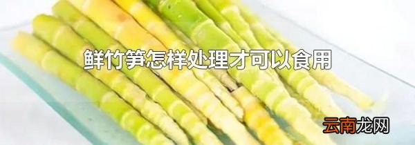 鲜竹笋怎样处理才可以食用