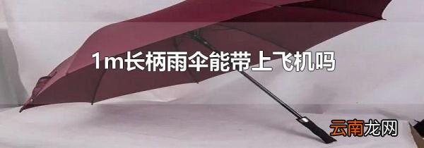 1m长柄雨伞能带上飞机吗