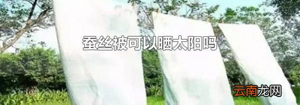 蚕丝被可以晒太阳吗
