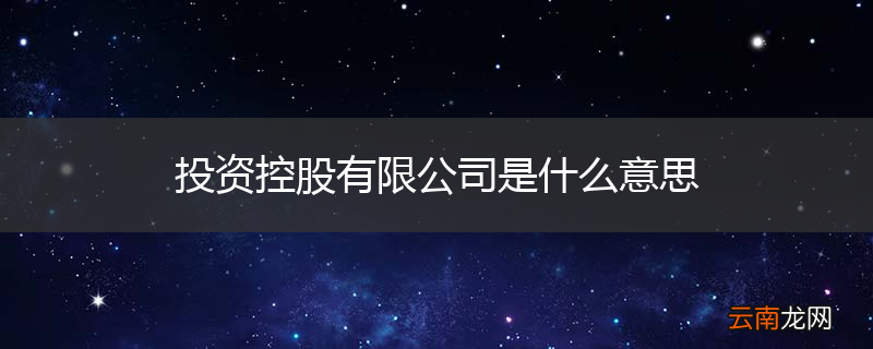 投资控股有限公司是什么意思