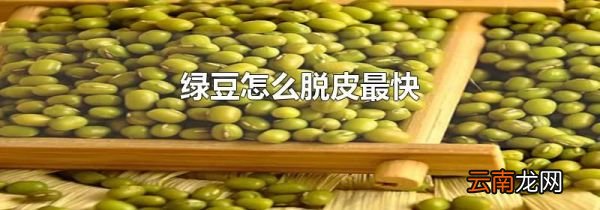 绿豆怎么脱皮最快