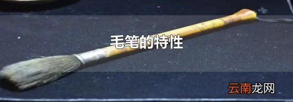 毛笔的特性