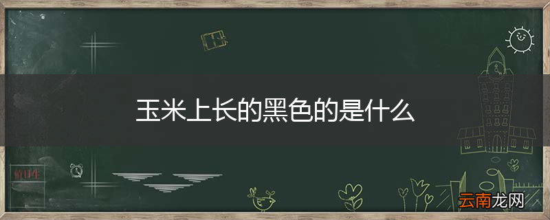 玉米上长的黑色的是什么