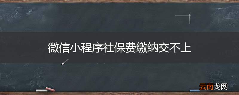 微信小程序社保费缴纳交不上