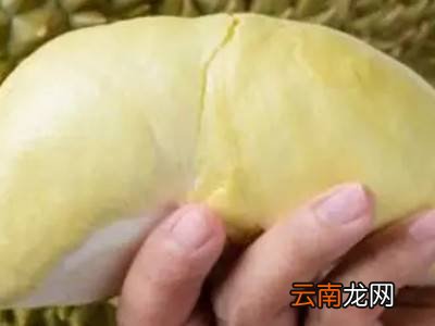 打开榴莲没熟怎么办