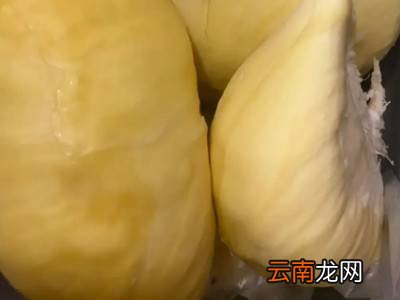 打开榴莲没熟怎么办