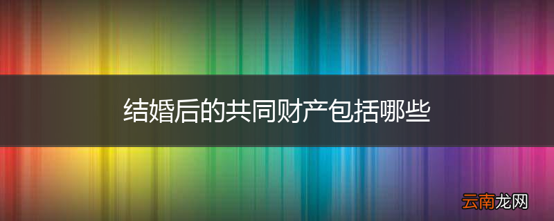 结婚后的共同财产包括哪些