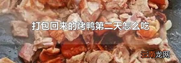 打包回来的烤鸭第二天怎么吃