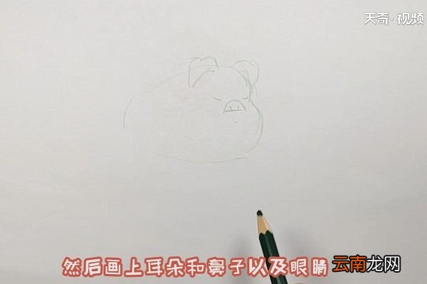猪简笔画