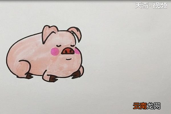 猪简笔画