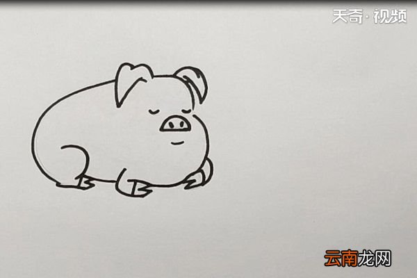 猪简笔画