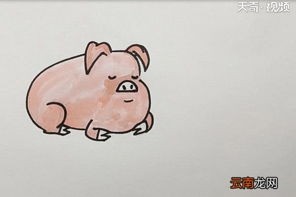 猪简笔画