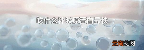 吃什么补胶原蛋白最快