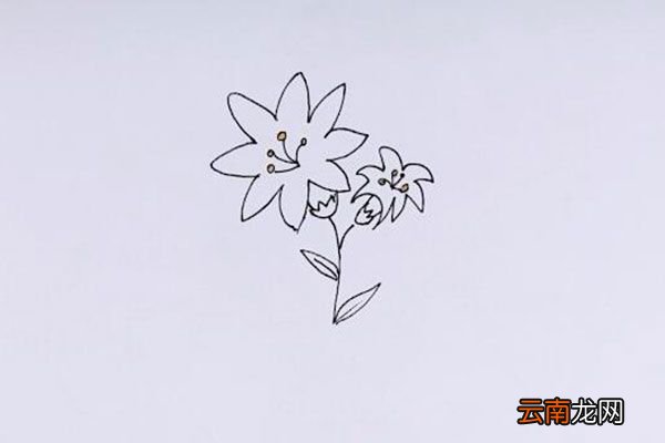 花草简笔画