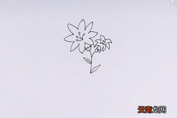 花草简笔画