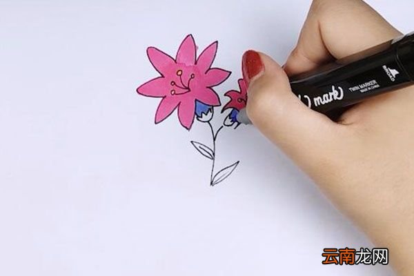 花草简笔画