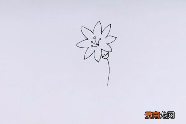 花草简笔画