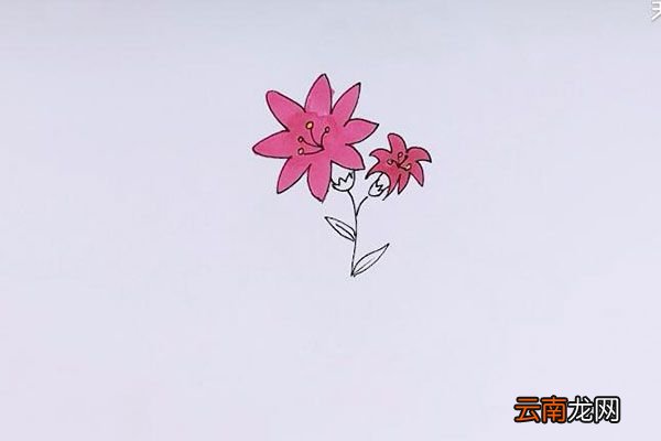 花草简笔画