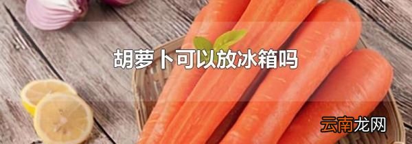 胡萝卜可以放冰箱吗