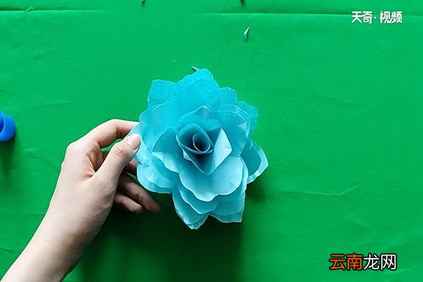 栀子花怎么折